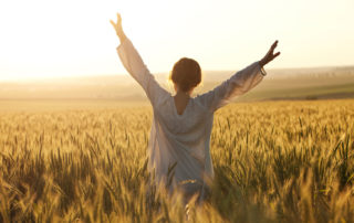 Photos of Women in a wheat field for Redefine U, Divorce Resources